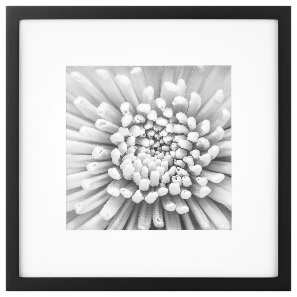 'S 9-Piece, Gallery Wall Frame for 8" X 8" or 12" X 12" Photos - Black