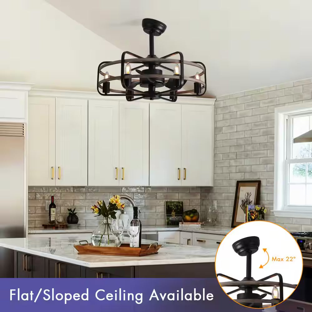 25 In. Black Farmhouse Ceiling Fan Caged Ceiling Fan Indoor with Lights and Remote Wood Grain Industrial Ceiling Fan